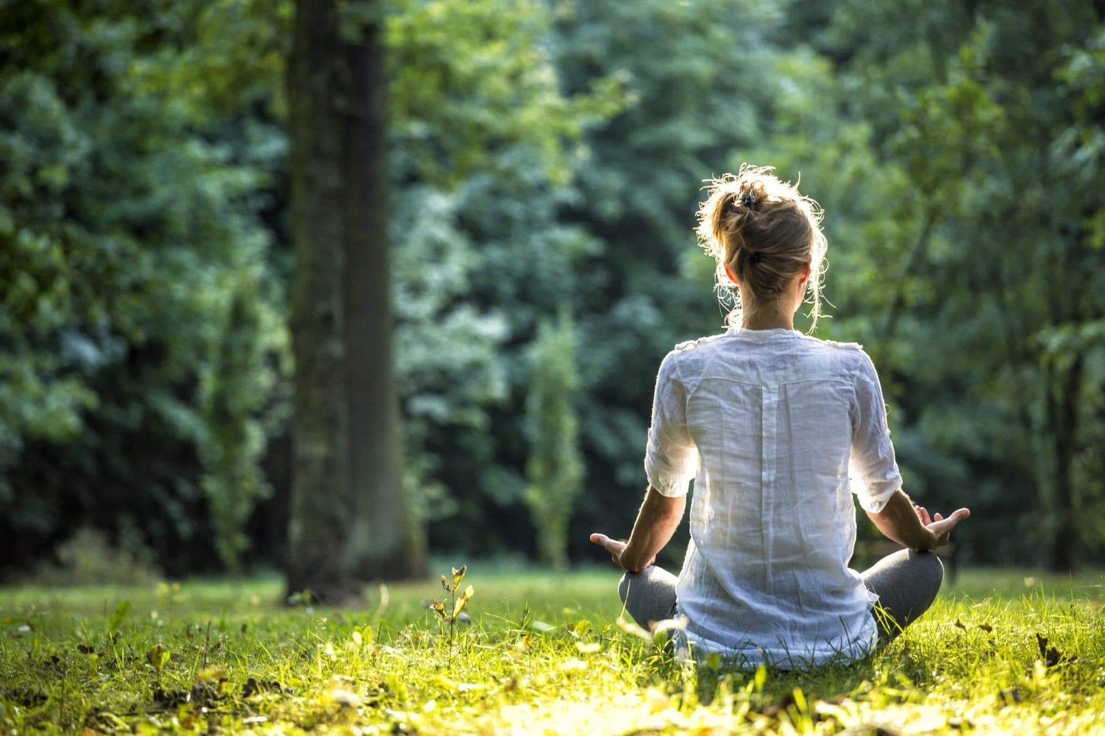 How to Strengthen Your Nervous System with Mindfulness and Meditation